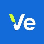 Ve Global